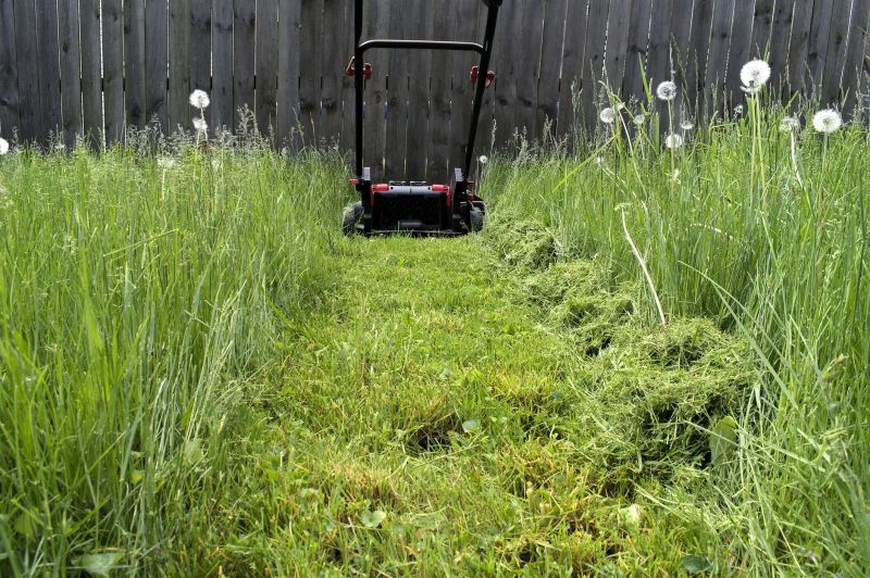 Acreage Mowing Service in Prince Georges County, MD