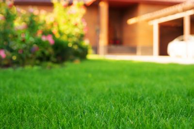 Residential Lawn Care